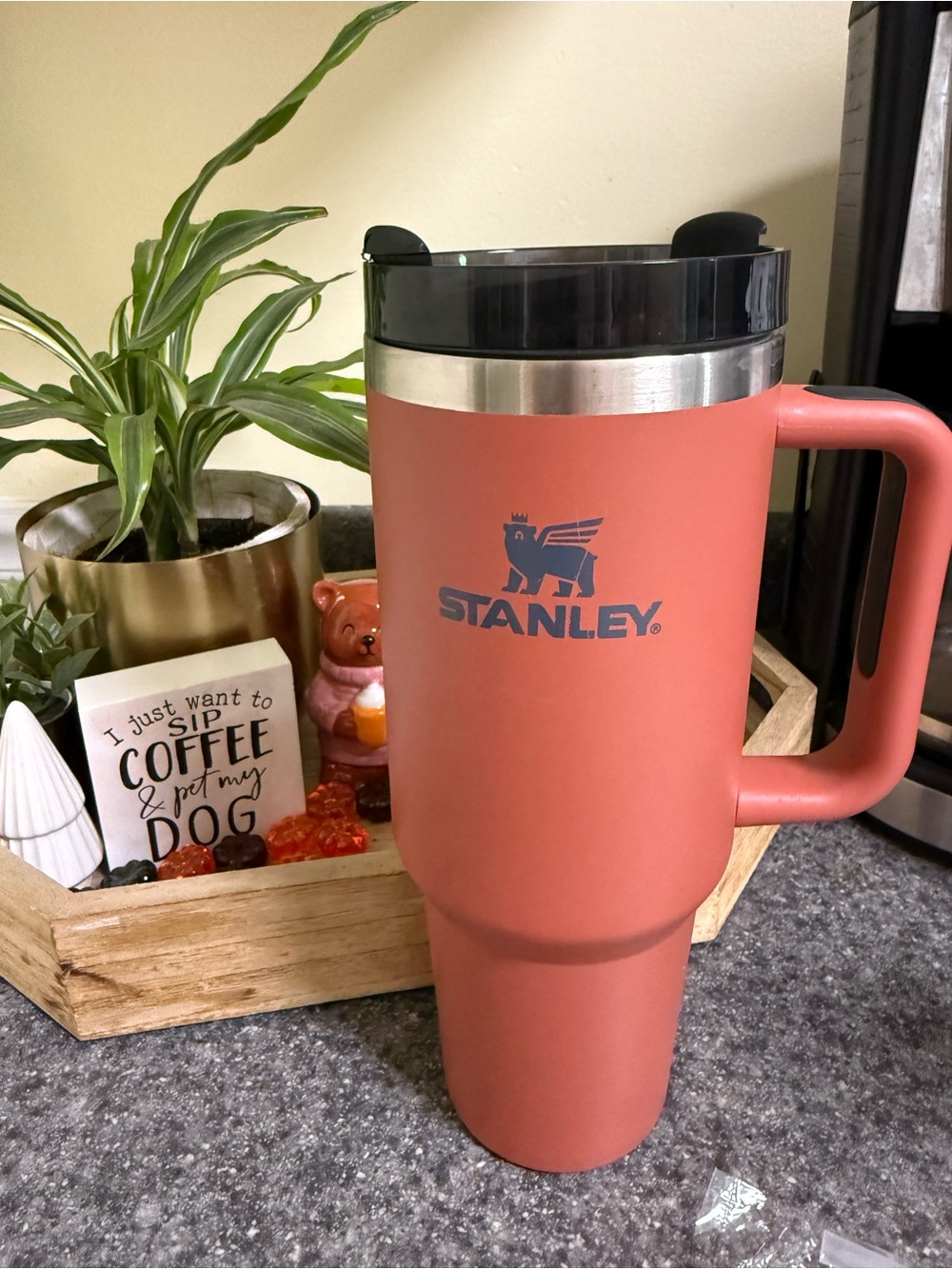 Perfect Fall Seasonal Color- Red Rust- Large Stanley Insulated Tumbler Brand New